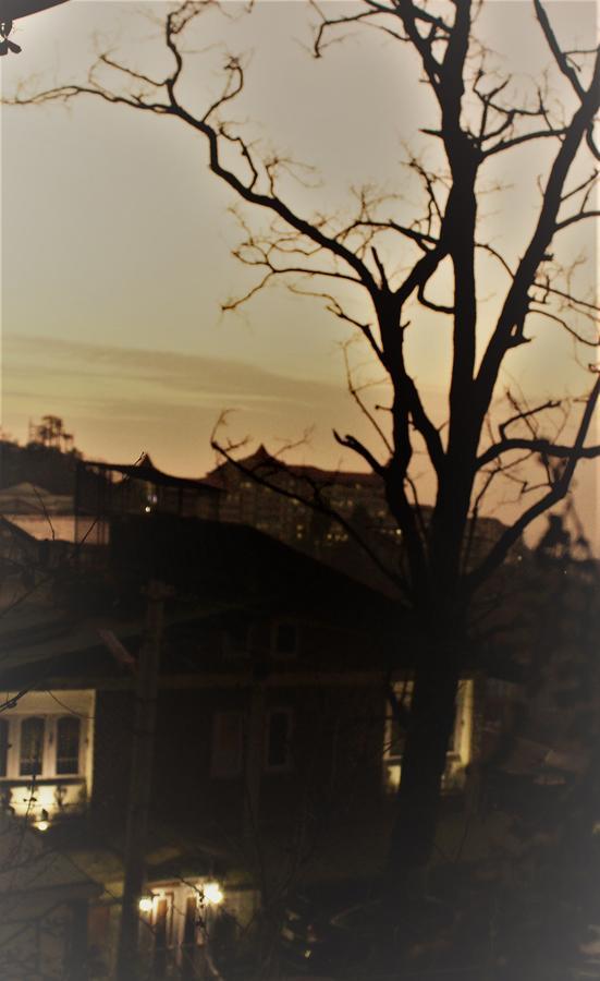 Prakash Cottage Shimla Luaran gambar